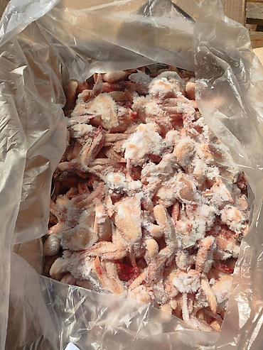курица куплю: Замороженная курица и полуфабрикаты (HALAL) Окорочка 10 кг по 230 сом — 3