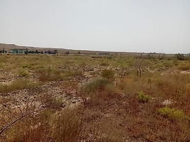 ev alqi satqi kiraye: 200 sot, Kənd təsərrüfatı, Mülkiyyətçi, Kupça (Çıxarış) — 4