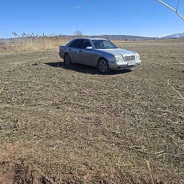 банки amg: Mercedes-Benz E-Class: 1996 г., 2.2 л, Механика, Дизель, Седан — 6