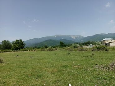 Torpaq sahələrinin satışı: 12 sot, Tikinti, Mülkiyyətçi, Kupça (Çıxarış) — 4