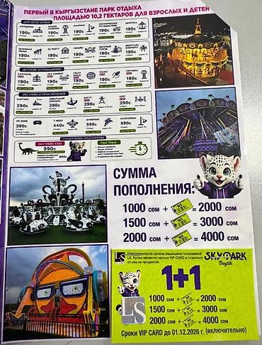 чуко парк: VIP CARD Sky Park Baytik — набор купонов на удвоение пополнений 1+1 — 1