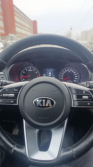 Kia: Kia K5: 2018 г., 2 л, Автомат, Газ, Седан — 17