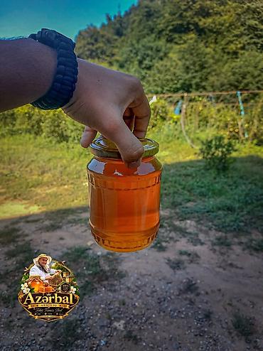 en ucuz motor: 🍯 AzərBal Arıçılıq 🐝 🌿 Təbiətin bizə bəxş etdiyi təbii məhsulları — 3