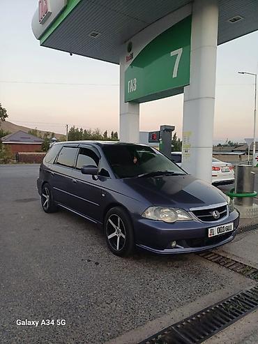 куплю одисей: Honda Odyssey: 2002 г., 3 л, Автомат, Газ, Минивэн — 3