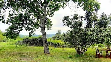 bileceri dasinmaz emlak: 130 kv. m, 5 otaqlı, Qaz, İşıq, Su — 3