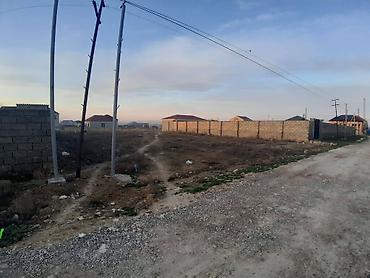 Torpaq: 6 sot, Kənd təsərrüfatı, Mülkiyyətçi, Kupça (Çıxarış) — 3
