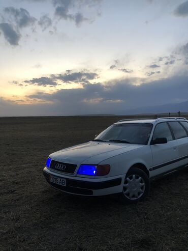 Audi: Audi 100: 1992 г., 2.3 л, Механика, Бензин, Универсал