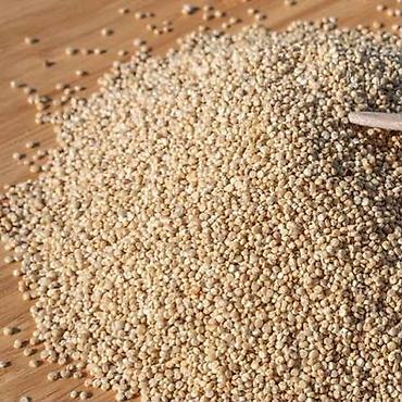 kefir mayası qiyməti: KİNOA – TOPDAN SATIŞ 🌱 Təbii kinoa toxumu Kinoa qlütensiz, zülal və — 2