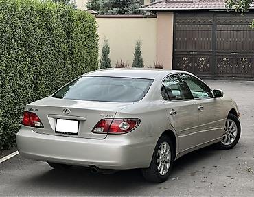 Lexus: Lexus ES: 2002 г., 3 л, Автомат, Бензин, Седан — 4