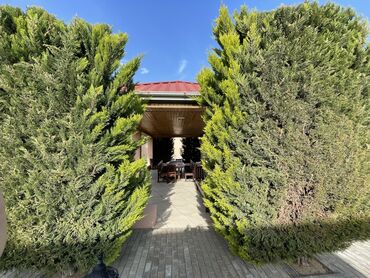 Bağ evlərinin satışı: Digah, 400 kv. m, 7 otaqlı, Hovuzlu, Kombi, Artezian quyusu, Kanalizasiya -da lalafo.az — 7 Bağ evlərinin satışı: Digah, 400 kv. m, 7 otaqlı, Hovuzlu, Kombi, Artezian quyusu, Kanalizasiya — 7