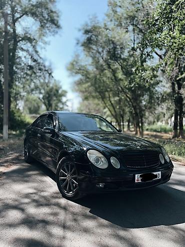 amg e55: Mercedes-Benz E-Class: 2005 г., 3.5 л, Автомат, Бензин, Седан — 7