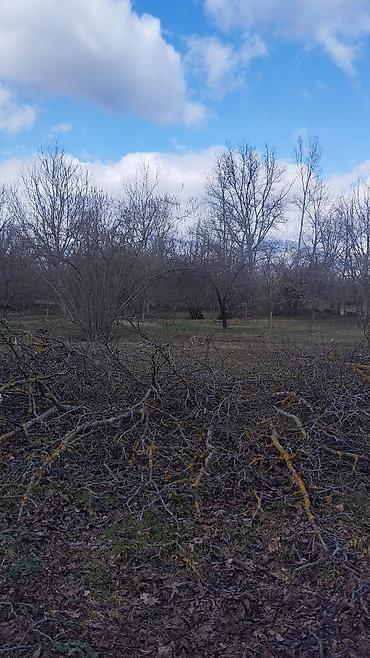Torpaq sahələrinin satışı: 10 sot, Tikinti, Maklerlər narahat etməsin, Kupça (Çıxarış) — 6