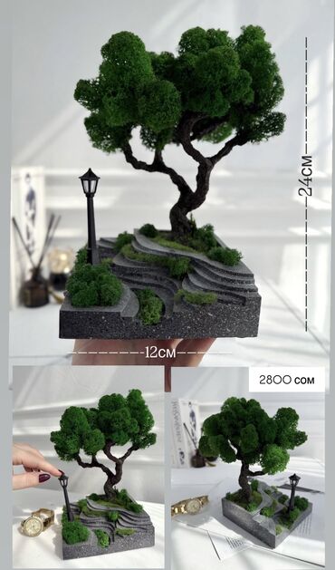 Декоративные цветы: В переводе с японского Бонсай означает «дерево, выращенное в блюде» at lalafo.kg — 19 Декоративные цветы: В переводе с японского Бонсай означает «дерево, выращенное в блюде» — 19