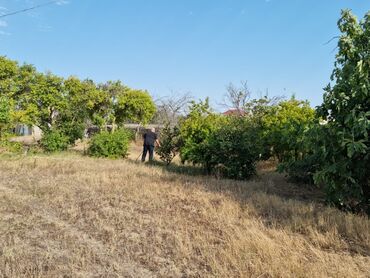 Torpaq sahələrinin satışı: 34 sot, Mülkiyyətçi, Kupça (Çıxarış), Bələdiyyə — 6