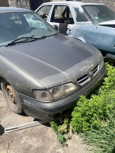 я ищу лада приора: Nissan Primera: 1997 г., 2 л, Автомат, Бензин, Хэтчбэк