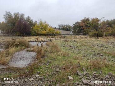 район тунгуч: 20 соток, Курулуш, Кызыл китеп