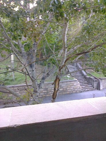 Uzunmüddətli kirayə mənzillər: Şəhərin mərkəzində Çəmbərkənd parkının yaxınlığında 2 otaqli mənzil -da lalafo.az — 9 Uzunmüddətli kirayə mənzillər: Şəhərin mərkəzində Çəmbərkənd parkının yaxınlığında 2 otaqli mənzil — 9