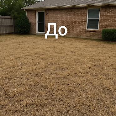 Газон: 🌞 Когда хочется лета - постелите газон! 🌿 Зелёный уголок у себя дома — 2