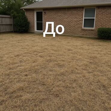 Газон: Искусственный газон искусственная трава декорации декор 🌞 Когда — 10