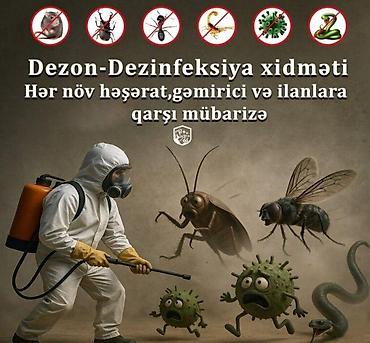 birə dərmani ev ucun: Dezinfeksiya, dezinseksiya | Taxtabiti | Mənzillər — 1