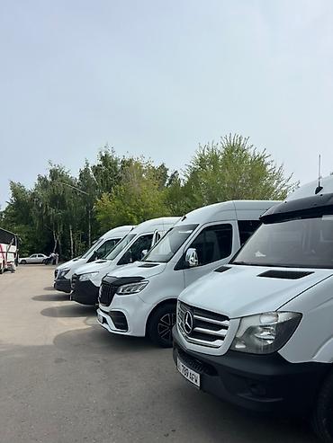 Транспорт: Пункт назначения: Все направления, Количество мест: 17, Лицензия №: ФПП-Н-33 — 2