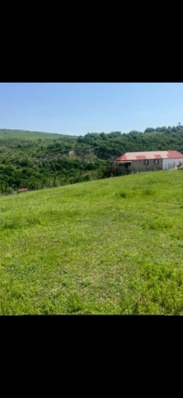 qubada evlərin satışı: Kənd təsərrüfatı, Mülkiyyətçi, Kupça (Çıxarış)