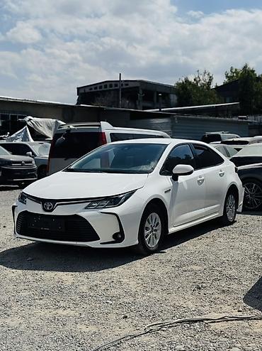 ночной прибор: Toyota Corolla: 2022 г., 1.8 л, Вариатор, Гибрид, Седан — 7