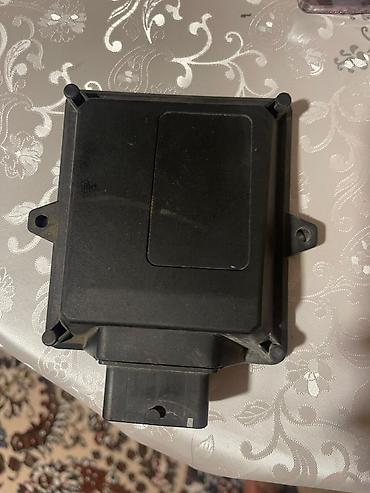 servo: Qaz ın beyni Çiçey kimidi — 2