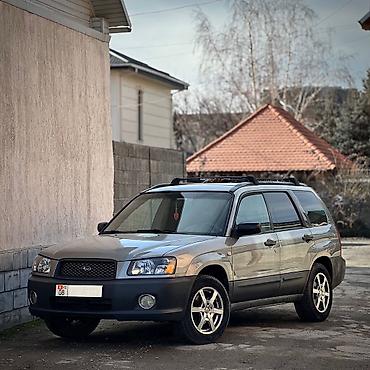 Subaru: Subaru Forester: 2004 г., 2.5 л, Автомат, Бензин, Универсал — 1