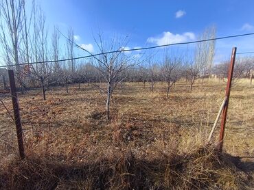 Продажа квартир: 3 комнаты, 75 м², 1 этаж, Дизайнерский ремонт — 10