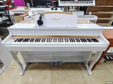 akustik gitara simi: Elektro piano Endirim 💣 Elektro piano Zəmanət - 12 ay Allegro — 1
