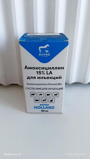 желудь: Флорум 10% Орал (Florfenicol) — раствор для орального применения у — 7