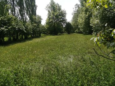 тап аз недвижимость: 33 sot, Kənd təsərrüfatı, Mülkiyyətçi, Kupça (Çıxarış), Bələdiyyə