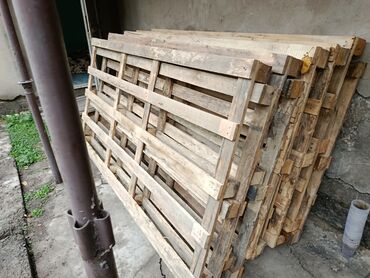 нашли кошку: Продаю | Овца (самка), Ягненок, Баран (самец) | Гиссарская, Полукровка, Долан | На забой, Для разведения, Для шерсти | Племенные, Котные, Осеменитель