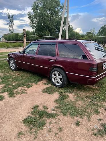 два авто: Mercedes-Benz 220: 2026 г., 2.9 л, Механика, Дизель, Универсал — 2