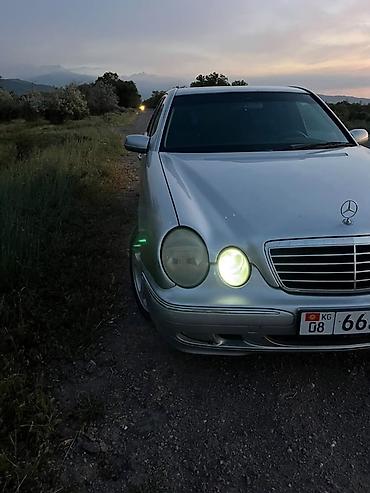runx alex: Mercedes-Benz E-Class: 1999 г., 3.2 л, Автомат, Бензин, Седан — 6
