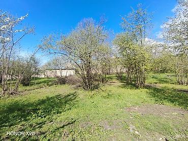 Torpaq sahələrinin satışı: Azərbaycanın ən gözəl guşələrindən biri olan Oğuz rayonu Xaçmaz — 4