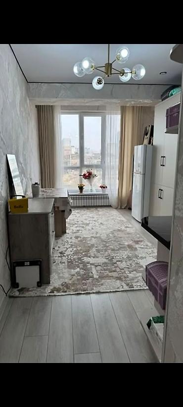 1 комната, Риэлтор, Без подселения, С мебелью полностью