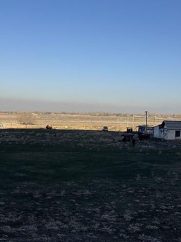 Продажа участков: 3 соток, Для строительства, Красная книга — 12