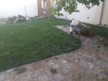 Şitillər: Qazon satışı enli yarpaq danimarka toxumuyla əkilmə qazon satışını -da lalafo.az — 7 Şitillər: Qazon satışı enli yarpaq danimarka toxumuyla əkilmə qazon satışını — 7