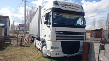 Коммерческий транспорт: Тягач, DAF, 2008 г., Тентованный