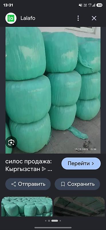 кошки бишкек купить: Силос в рулонах СЕЛО АРЧАЛЫ (силосные тюки в стрейч-пленке) - — 2