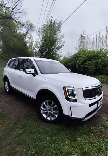 Kia Telluride: 2021 г., 3.8 л, Автомат, Бензин, Кроссовер