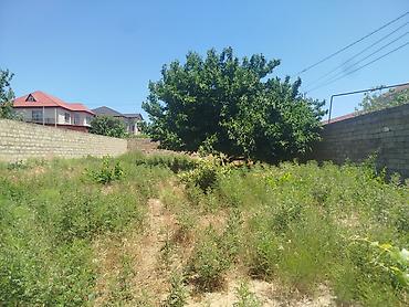 binə mehriban qonşular: Torpaq sahəsi – Qurd Dərəsi - Ölçü: 4 sot - Məkan: Qurd Dərəsi — 2