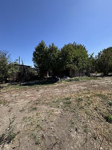 участки ивановка: 🏡 ПРОДАЁТСЯ УЧАСТОК С ДОМОМ — 10 СОТОК 📍 Новопавловка, 3-я улица от — 6