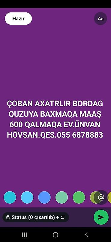 coban axtarilir: Çoban, 2255 yaş, 1 ildən az təcrübə — 1
