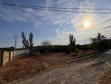 Torpaq: 4 sot, Mülkiyyətçi, Kupça (Çıxarış) — 6
