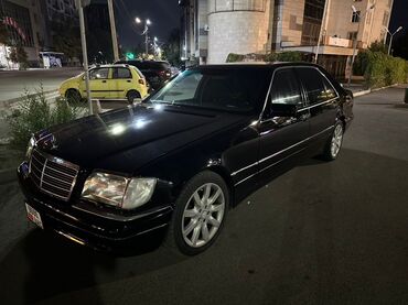 Mercedes-Benz: Mercedes-Benz : 1997 г., 5 л, Автомат, Бензин, Седан