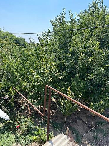 Mənzil kirayələyirəm: 5 otaqlı, 95 kv. m — 15