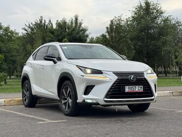 Lexus: Lexus NX: 2018 г., 2 л, Автомат, Бензин, Кроссовер — 1